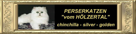 Banner_coco.jpg-Cattery-Holzertal