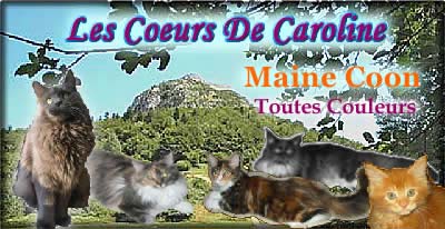 CoeursCaroline