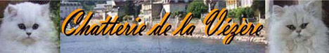 ChatteriedelaVezere