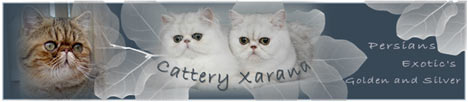 Xarana