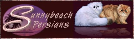 Cattery Sunnybeach