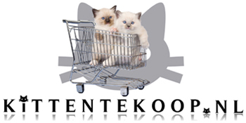 kittentekoop