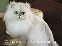 priscilla