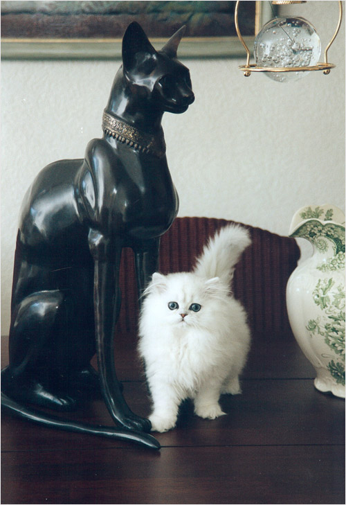 excalibur
